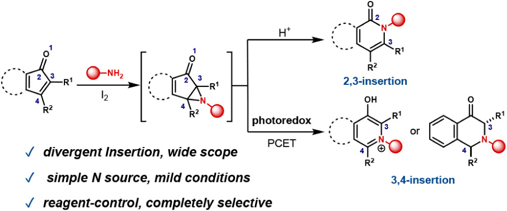 Scaffold Hopping of α,β-Unsaturated Ketones via Divergent Alkyl Amine Insertion