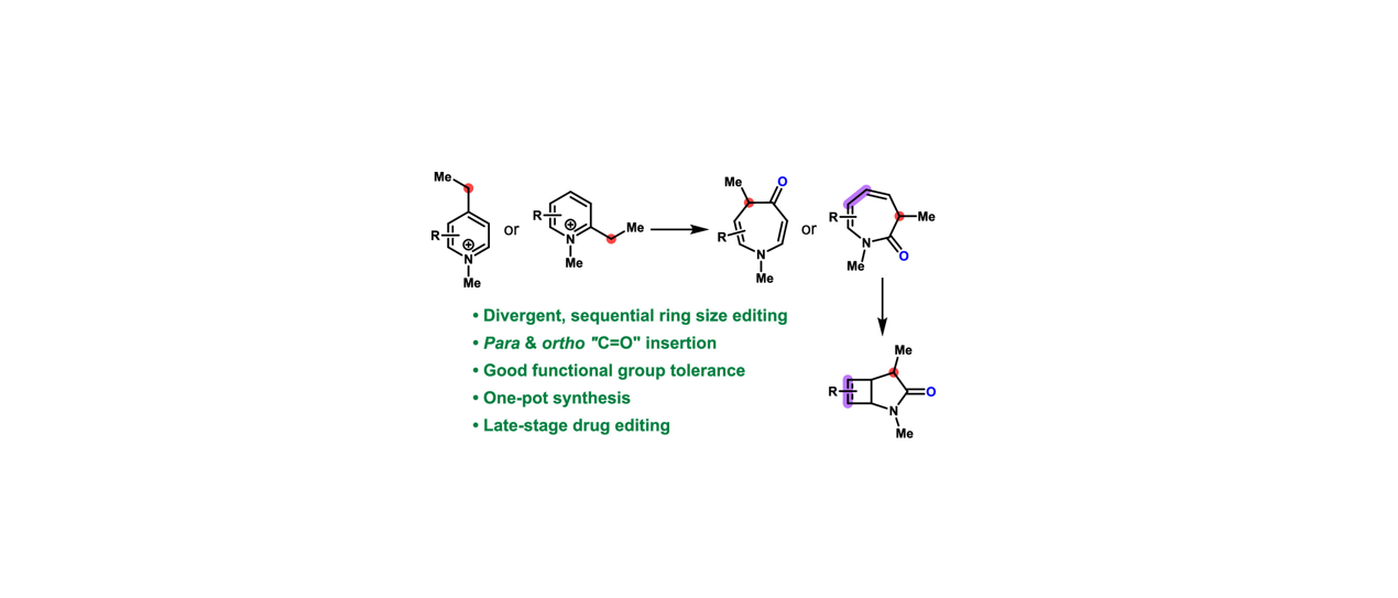 Divergent Skeletal Editing of Pyridinium Salts to Azepinones and Pyrrolidinones via Formal Carbonyl Insertion